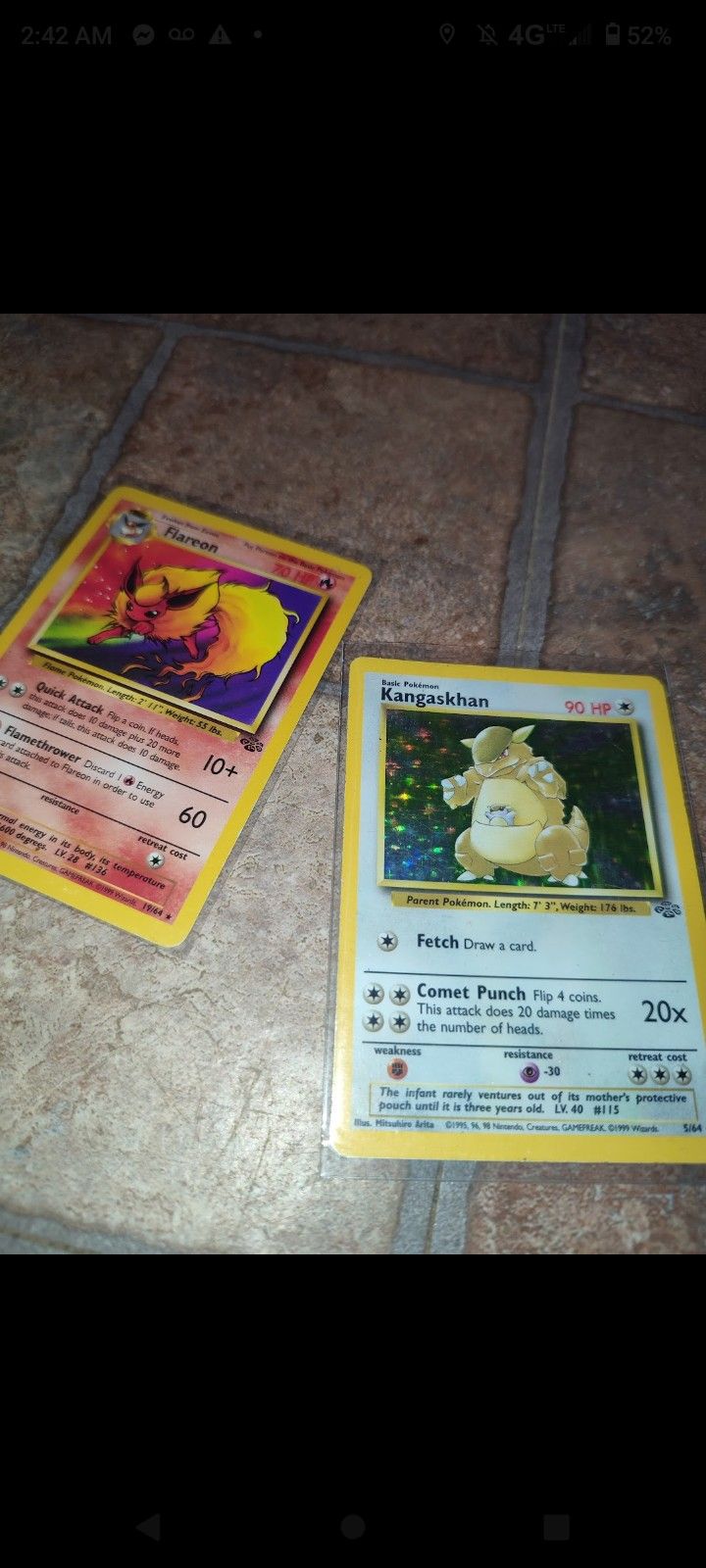 Kangaskhan And Flareon