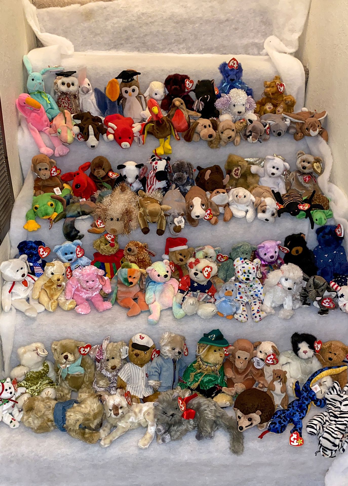 Lot Of 98 Beanie Babies Collection