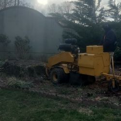 Tree And Stump Grinding 