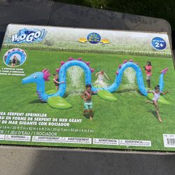 Water Dragon Sprinkler