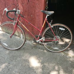 Schwin Bicycle 