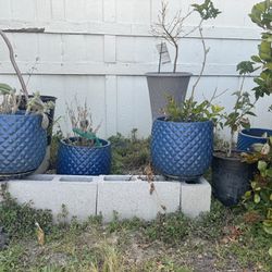 12” Blue Ceramic Pots