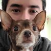 Luis