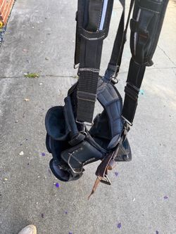 Tool belt