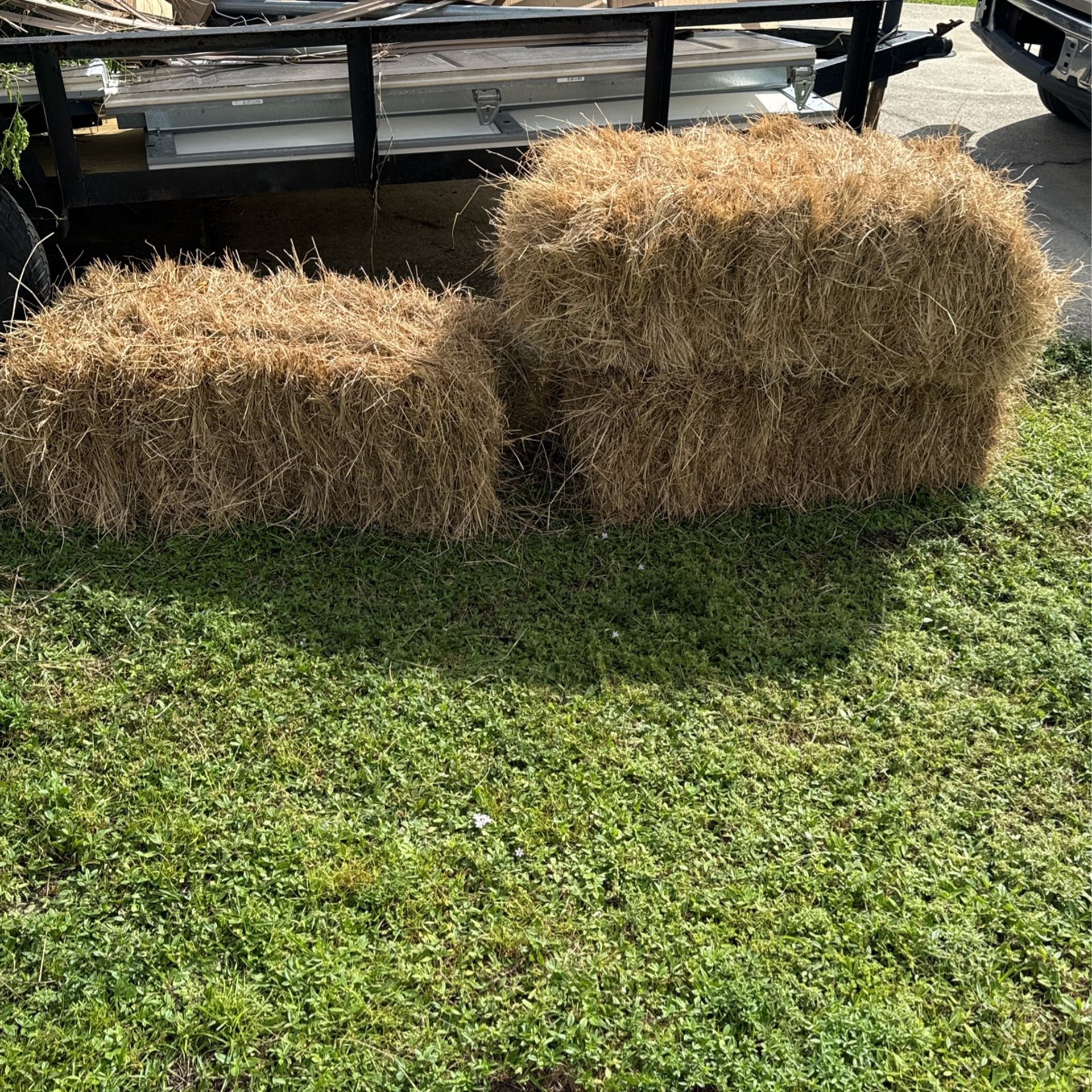 Hay