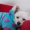 Mildred