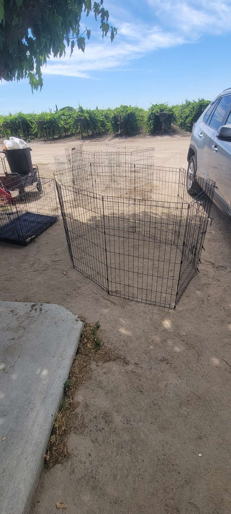 Dog Kennel /gate