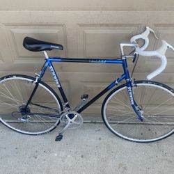 Schwinn Letour Roadbike