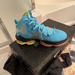 Nike Lebron James XIX