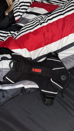 Kong Harness Dog