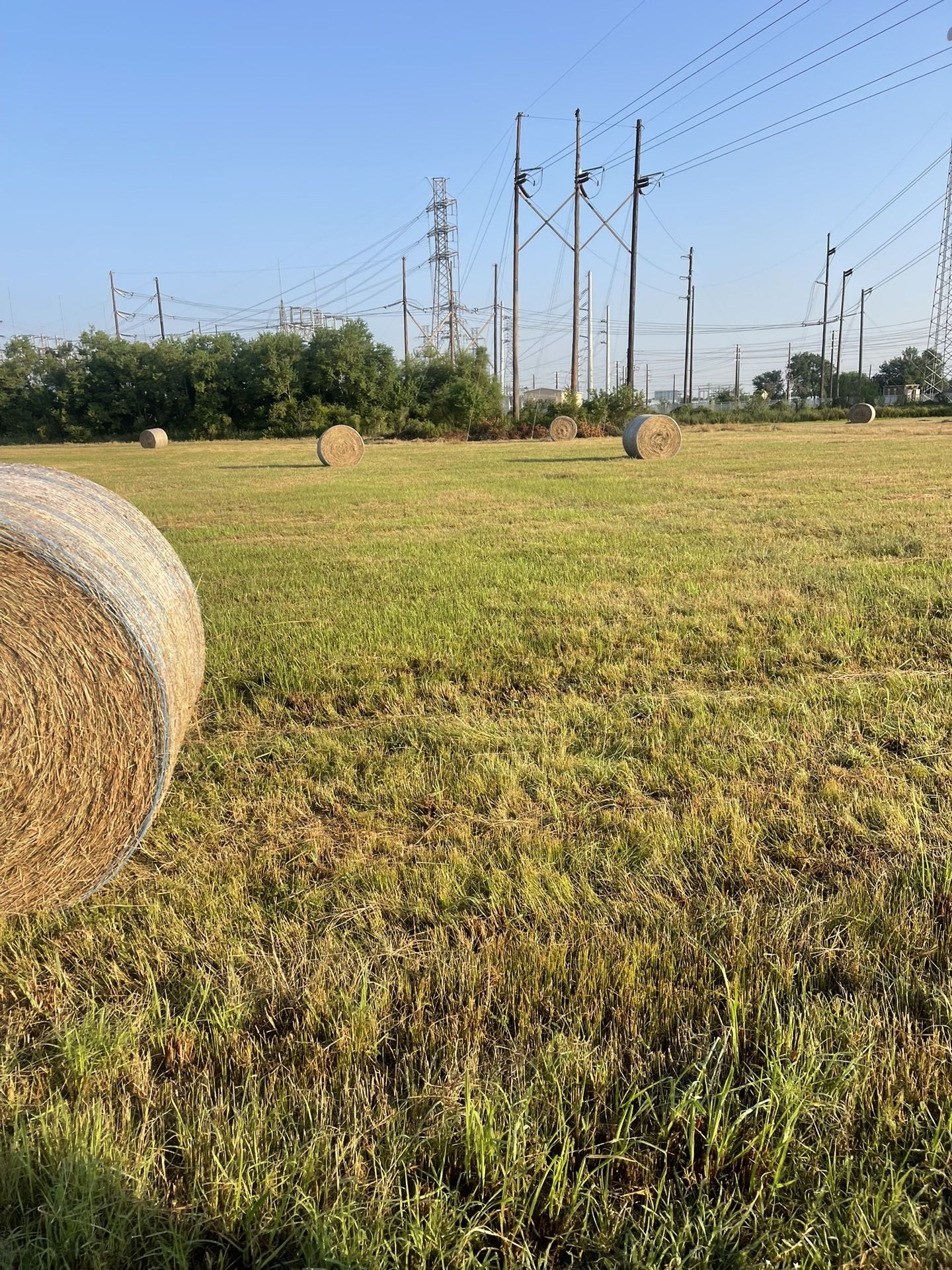 Round Belt Of Hay