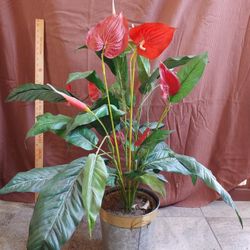 Artificial Potted Plant, Anthurium