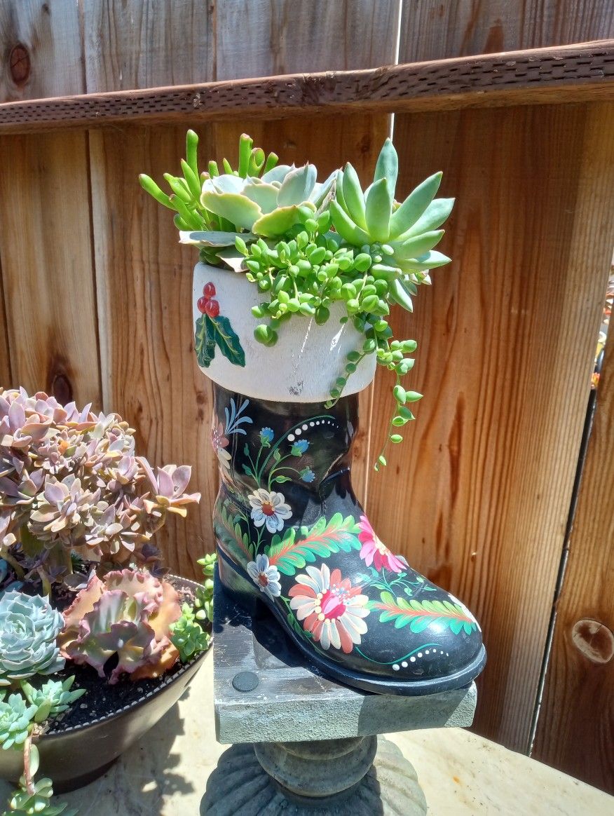 Succulent Arrangements