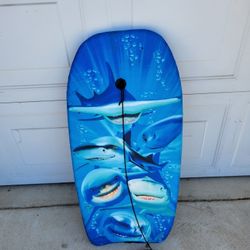 Large Shark Boogie Board!