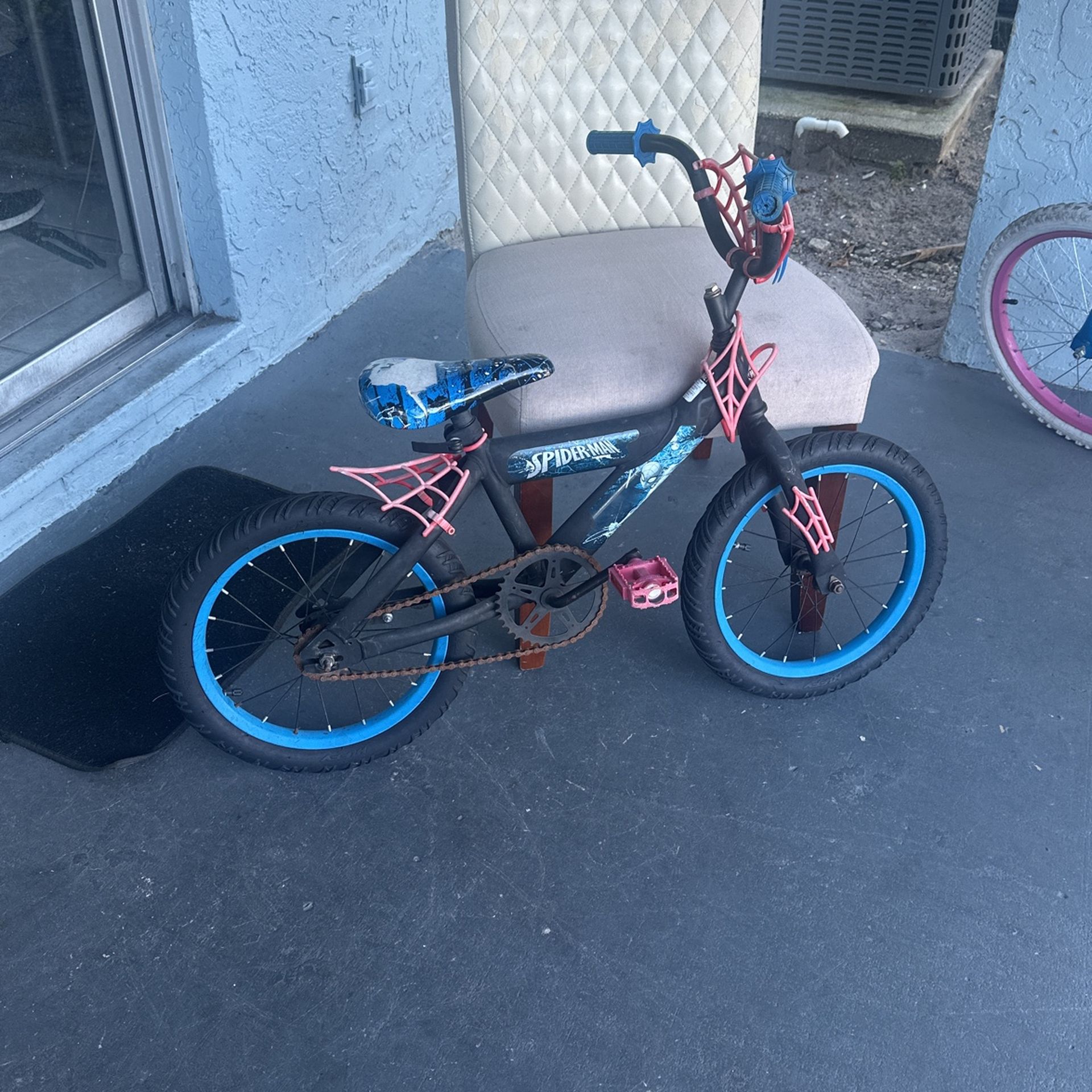 One Small Spider Bio For Small Boys