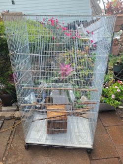 Bird cage clean and in good condition