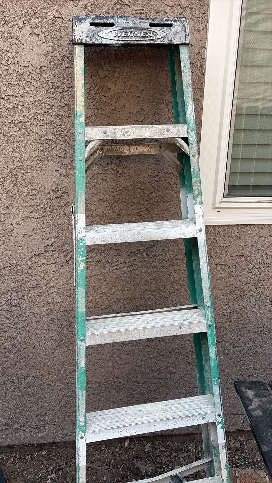 Warner 6 foot ladder