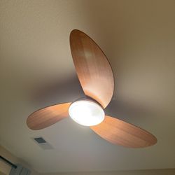 Ceiling Fan With Light 