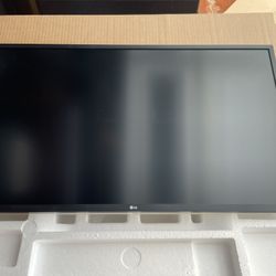 Computer Monitor