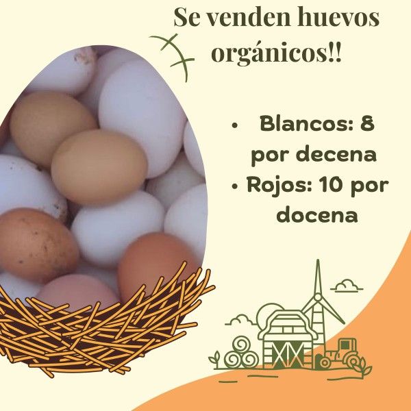 Huevos
