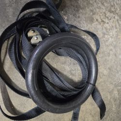 Gymnastic Rings and Straps