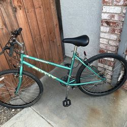 Motiv Back Country Bike 