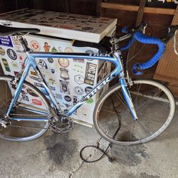 trek carbon road bike xl