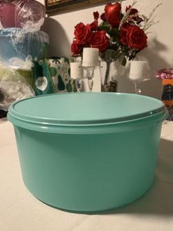 Tupperware XL Container