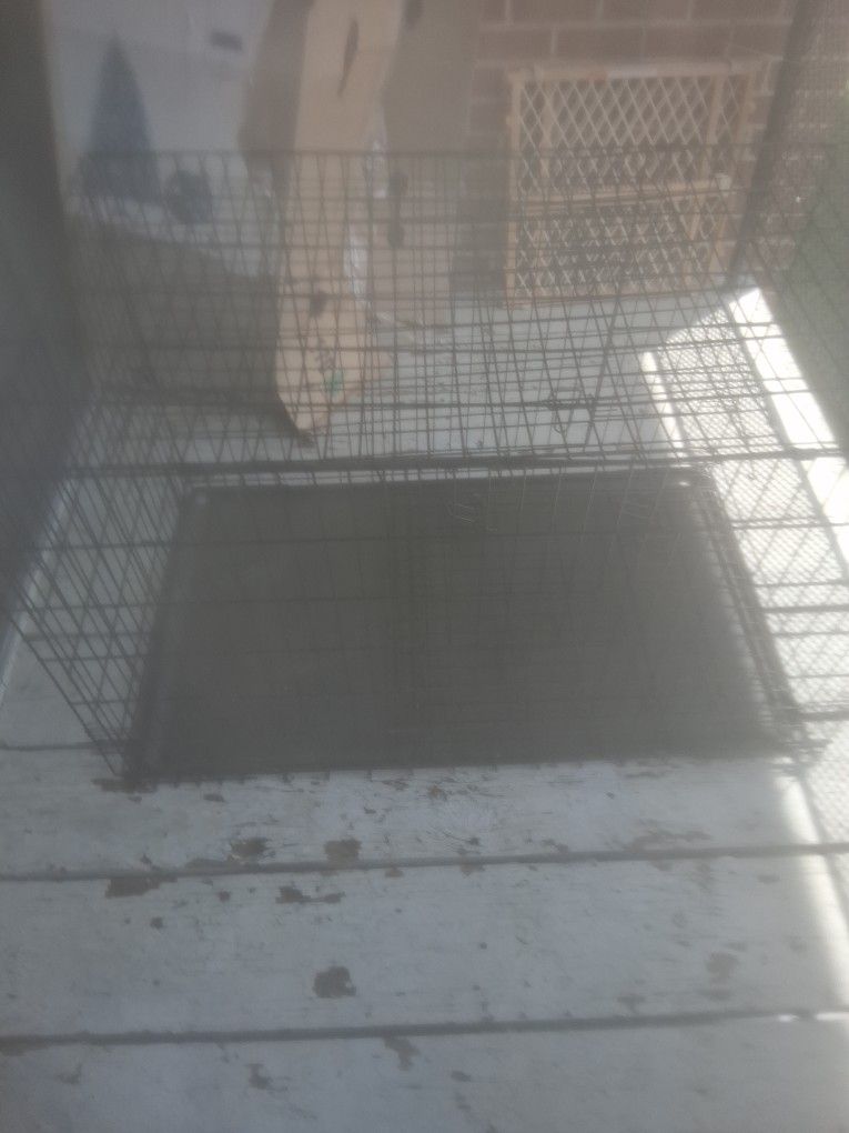 Dog Cage