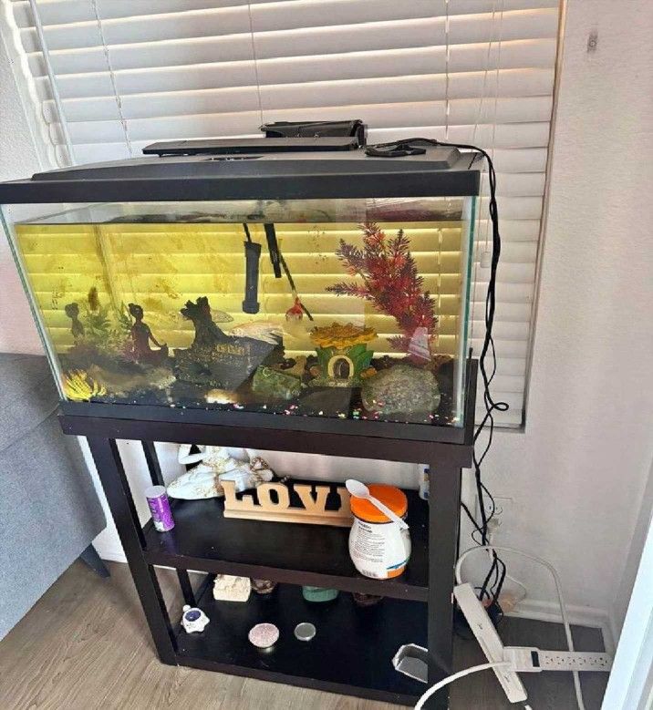 us Mr Complete Aquarium Kit – Discover an Underwater World
