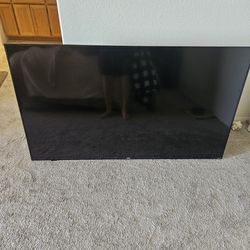 ONN Roku TV 70" (burned out back light)