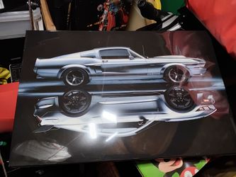Mustang picture, Used