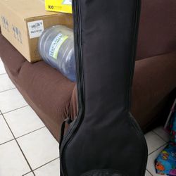 Gator Guitar Case.