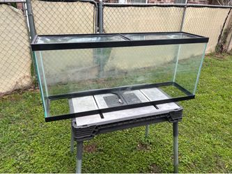 Fish tank