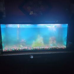 Fish Tank (140-145 Galaons