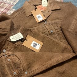 Levi Gold Rust Pant Suit Men