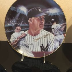 MICKEY AT NITE In Yankee Stadium 