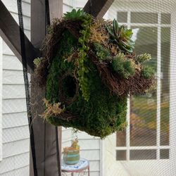 Birdhouse Moss. Faux Succulents 