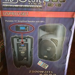 15" DJ Speakers