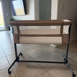 Beside Bassinet Newborn