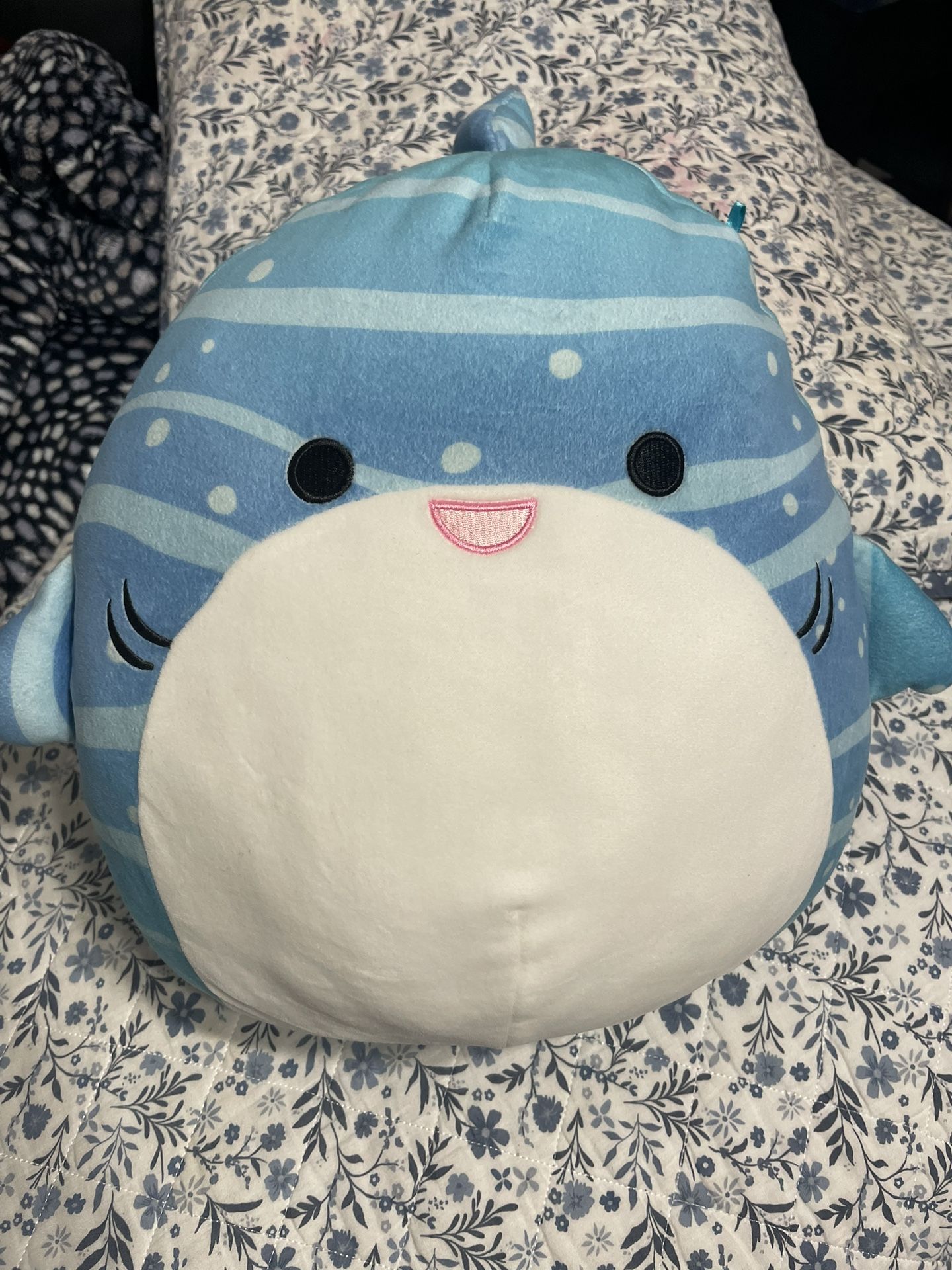 Steele the shark squishmallow