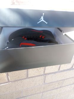 Jordan 12 retro bloodline