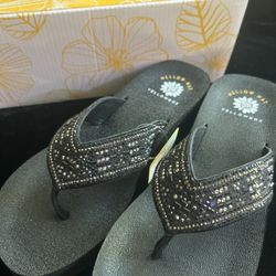 Yellow Box Mellow Matt Size 8 Penny Black NEW