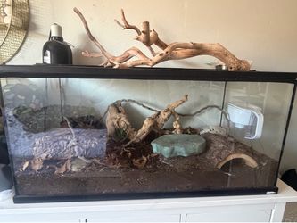 45 Gallon Reptile Tank BioActive