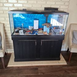 55 Gallons Fish Tank
