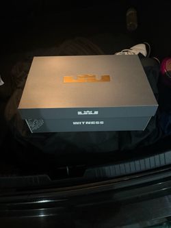 Lebron Basketball Shoes