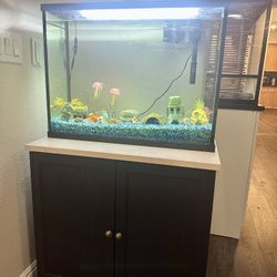 37G Fish Tank With Stand And Fish