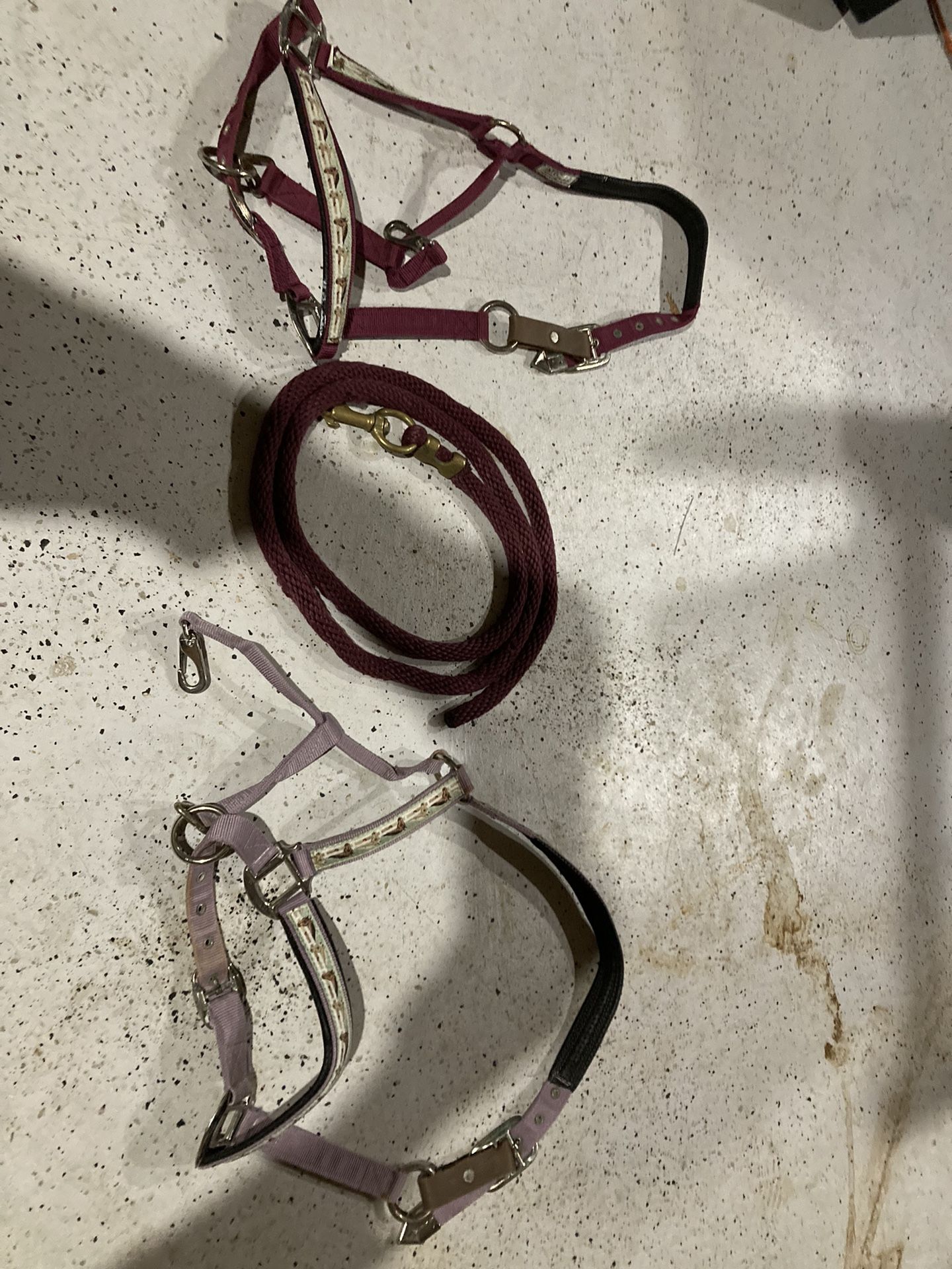 Intel Horse Halter And Lead Rope
