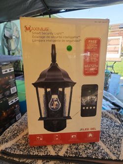 Maximus security light