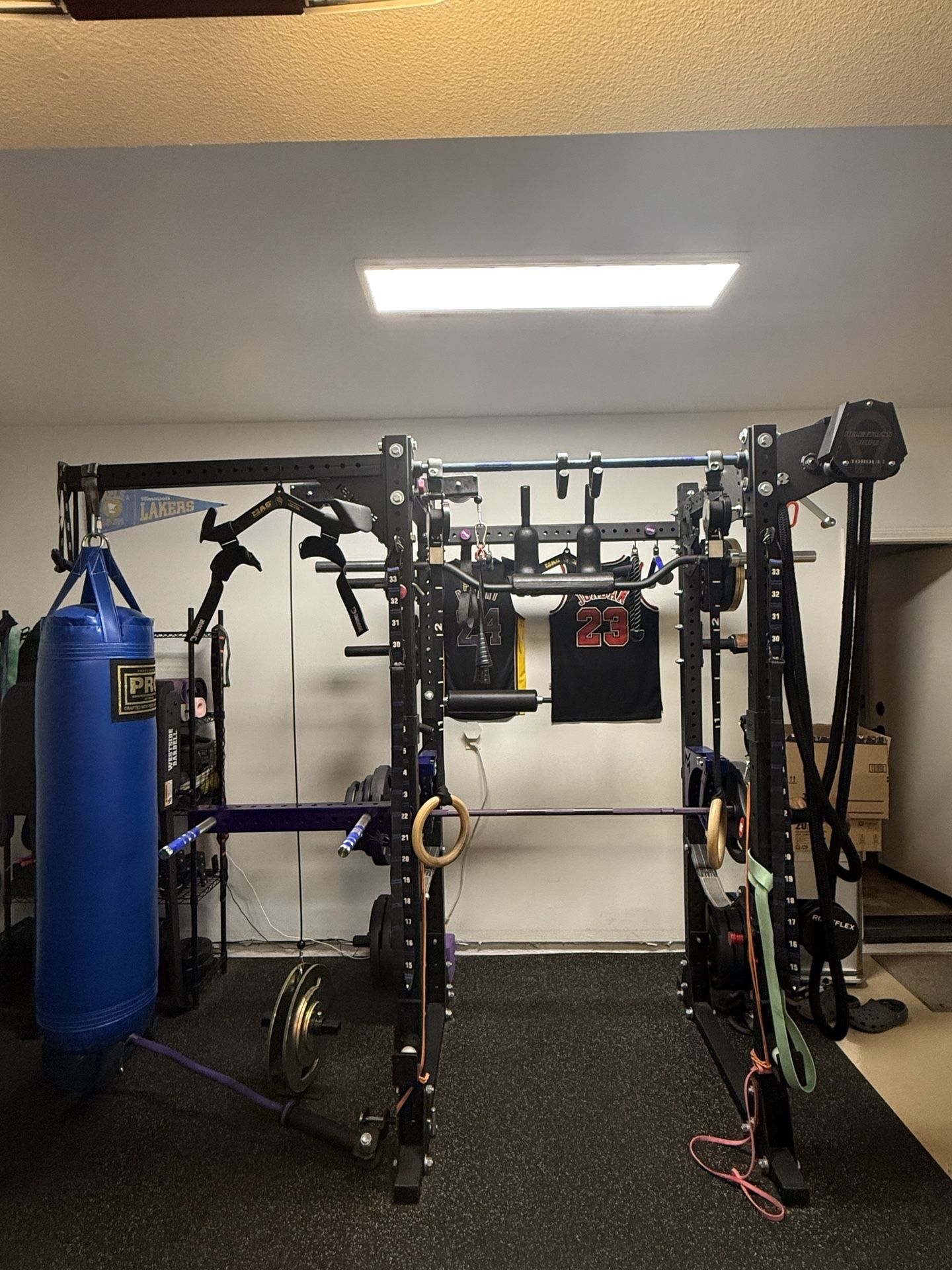 Punching Bag (With Rack Attachment)